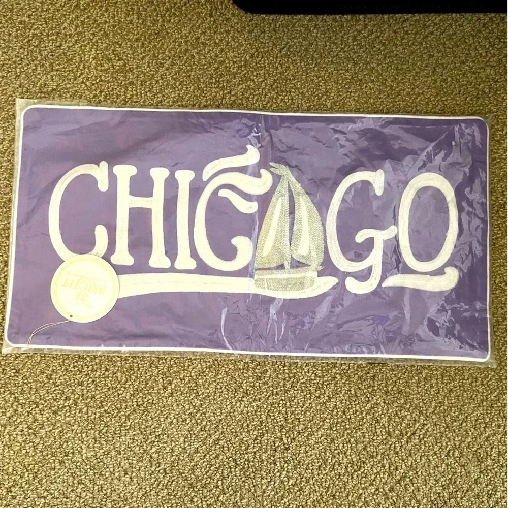 NWT! Pottery Barn CHICAGO Lumbar Pillow Cover - Picture 4 of 5